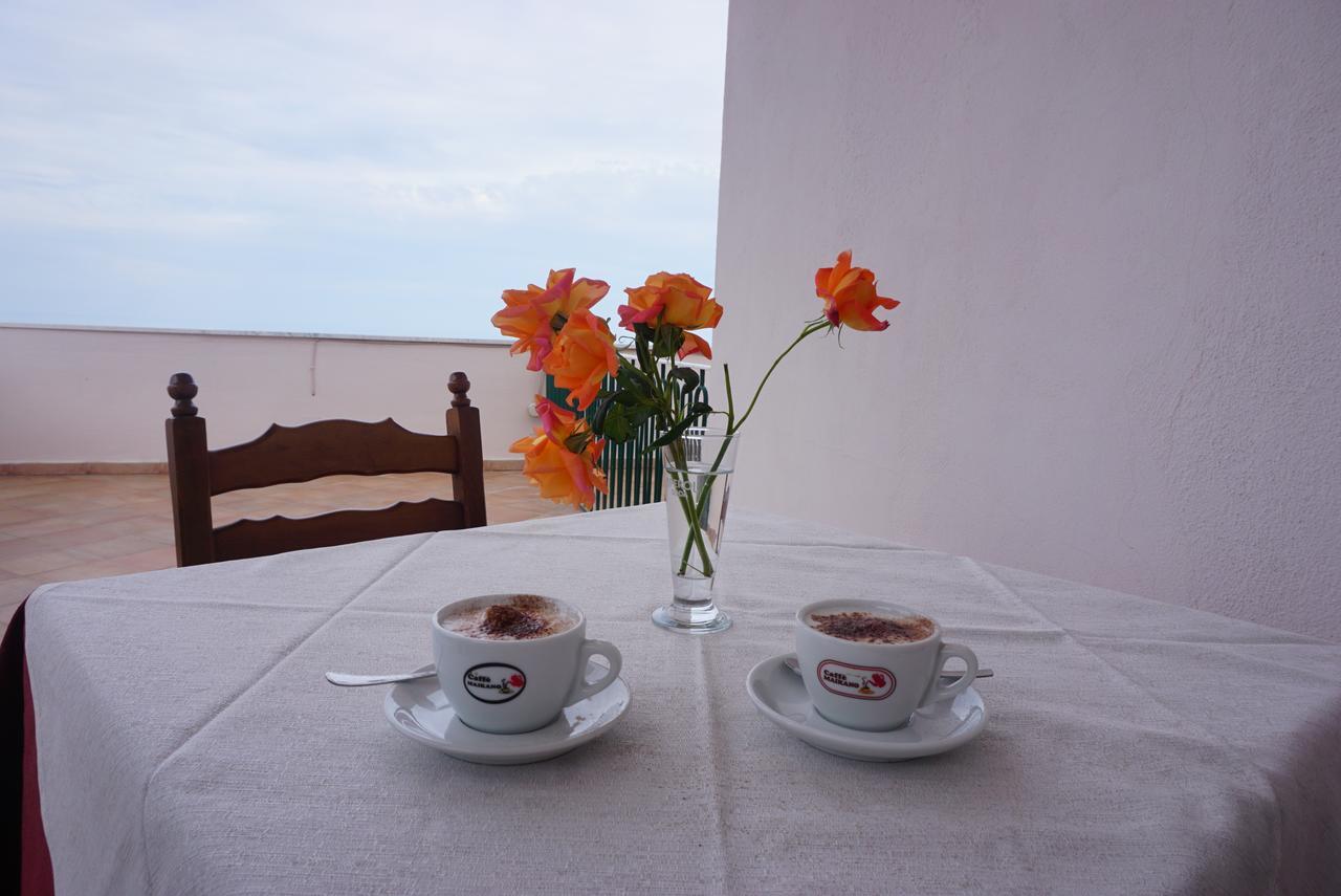 Hotel Villa Souvenir فورتْسا داغْرو المظهر الخارجي الصورة