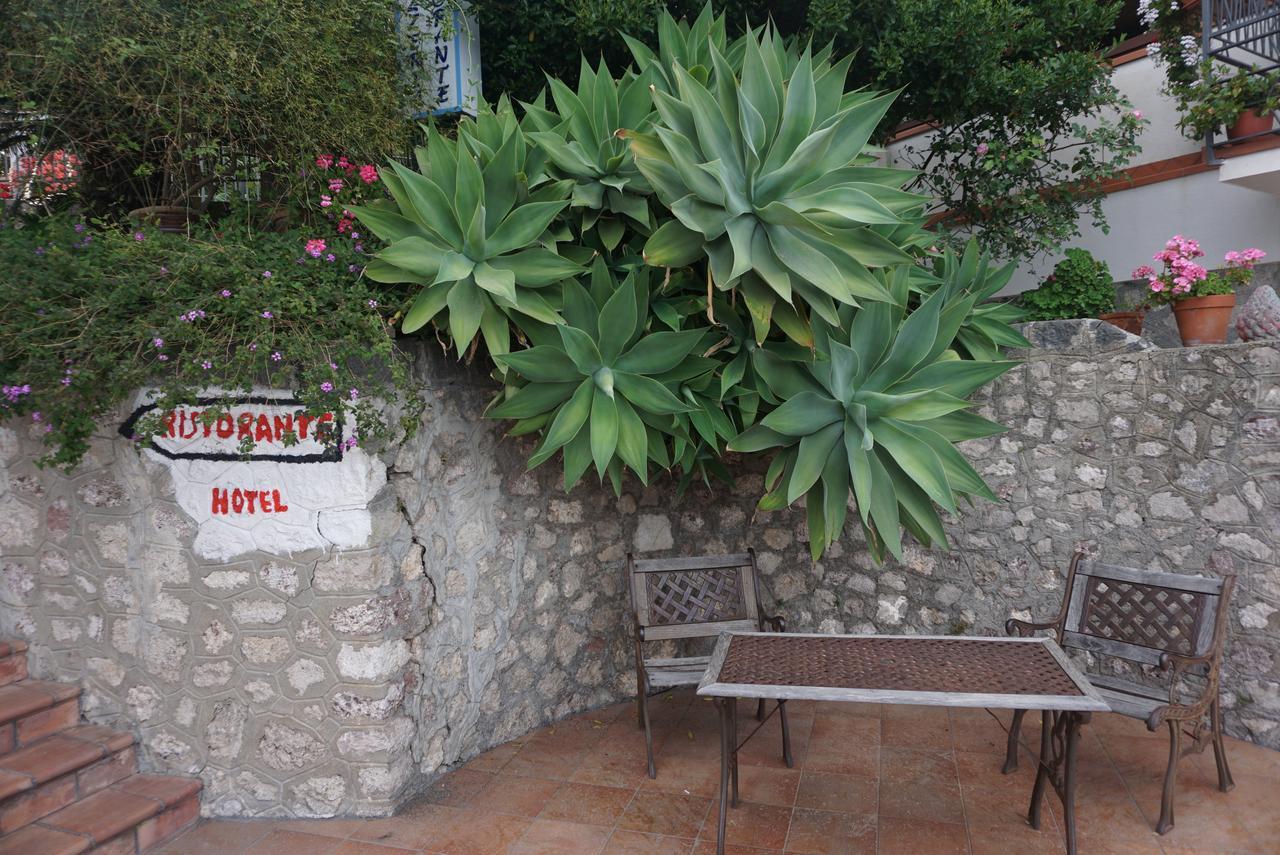 Hotel Villa Souvenir فورتْسا داغْرو المظهر الخارجي الصورة